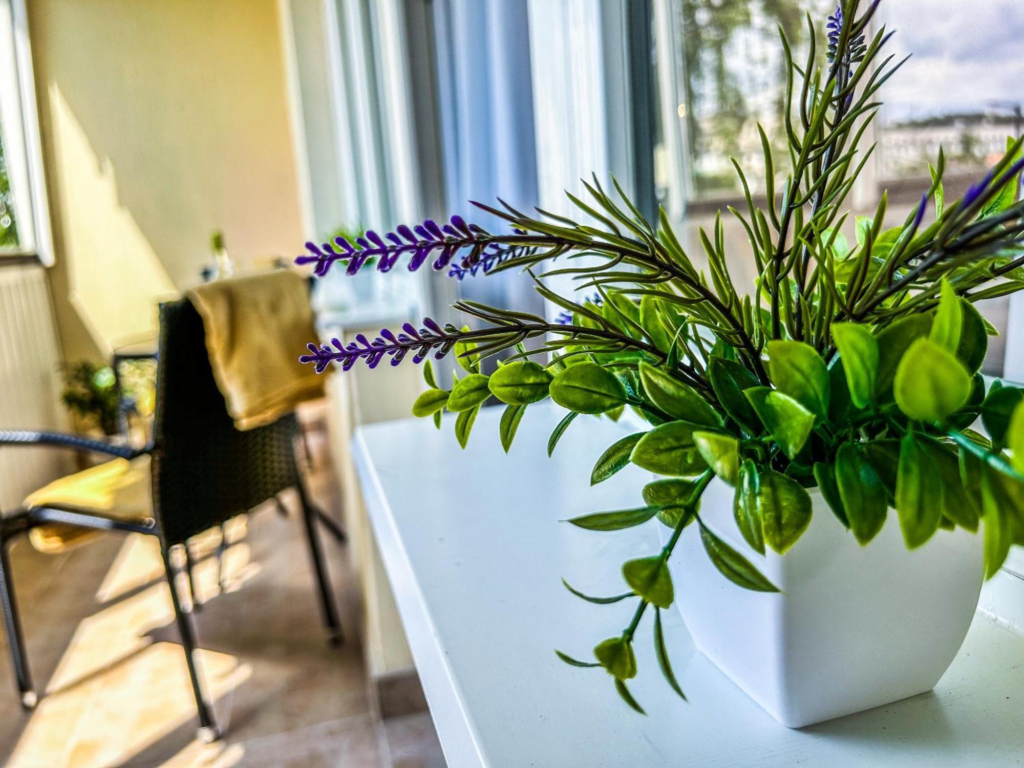 Villa Blue City Apartman Szekszárd المظهر الخارجي الصورة